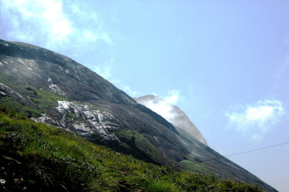 Eravikulam National Park (1).jpg